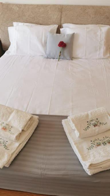 Amazing Lodge By The Ocean - Fully Equipped! Ericeira Dış mekan fotoğraf