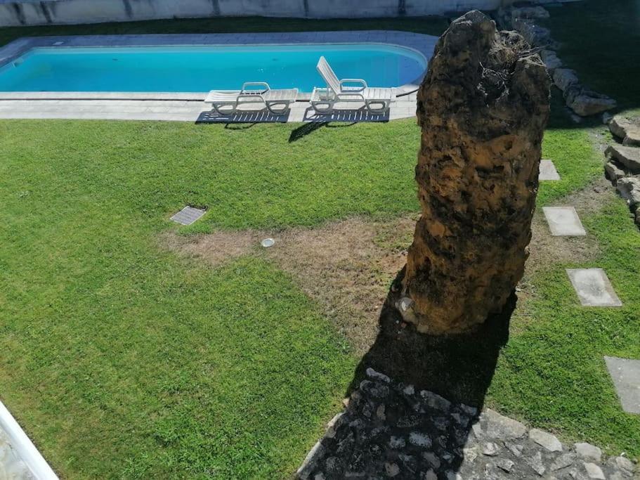 Amazing Lodge By The Ocean - Fully Equipped! Ericeira Dış mekan fotoğraf